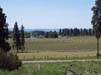 ViewFromProperty6